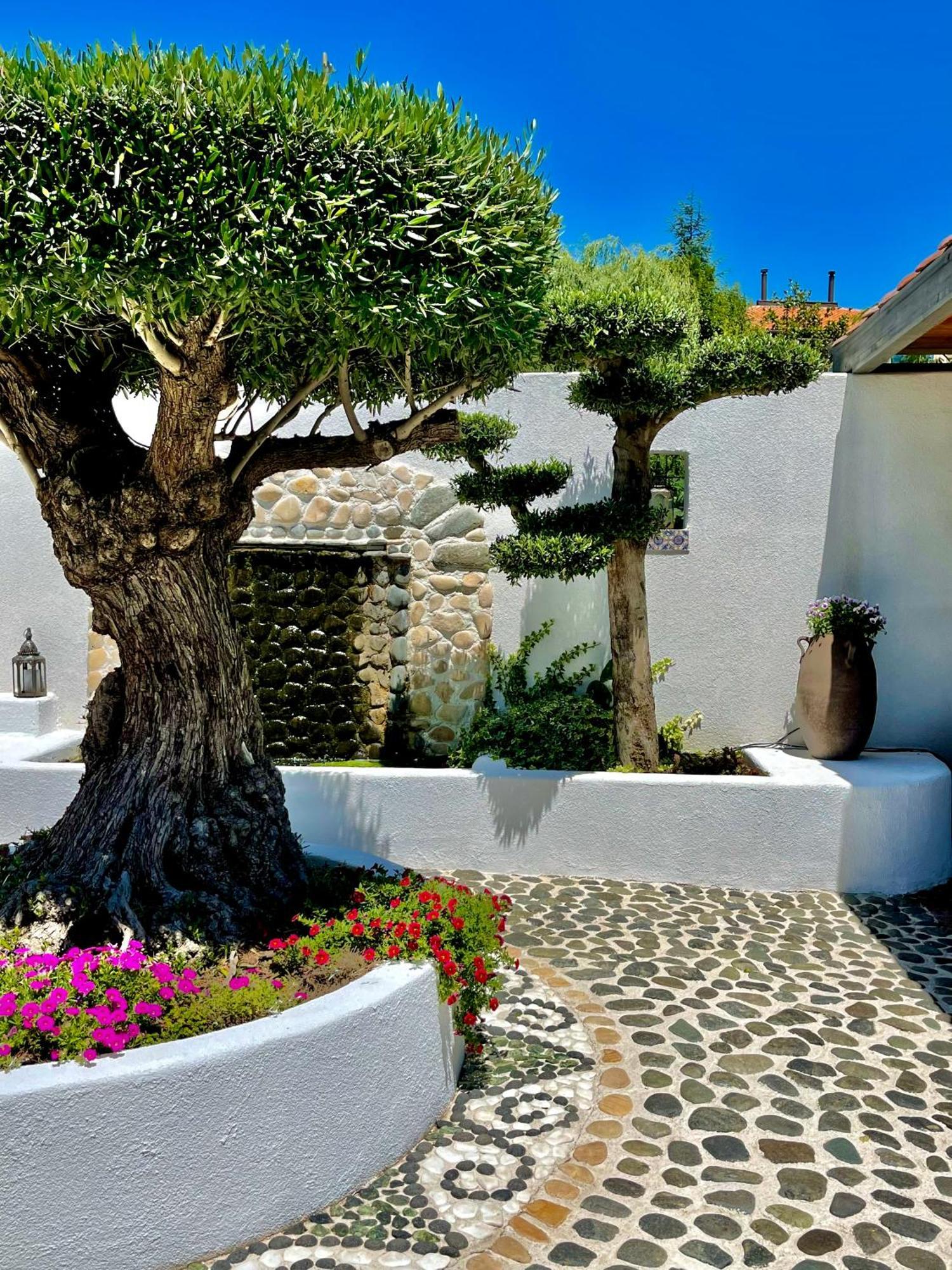 Aparthotel Casa De Oro Alma Sozopol Zewnętrze zdjęcie