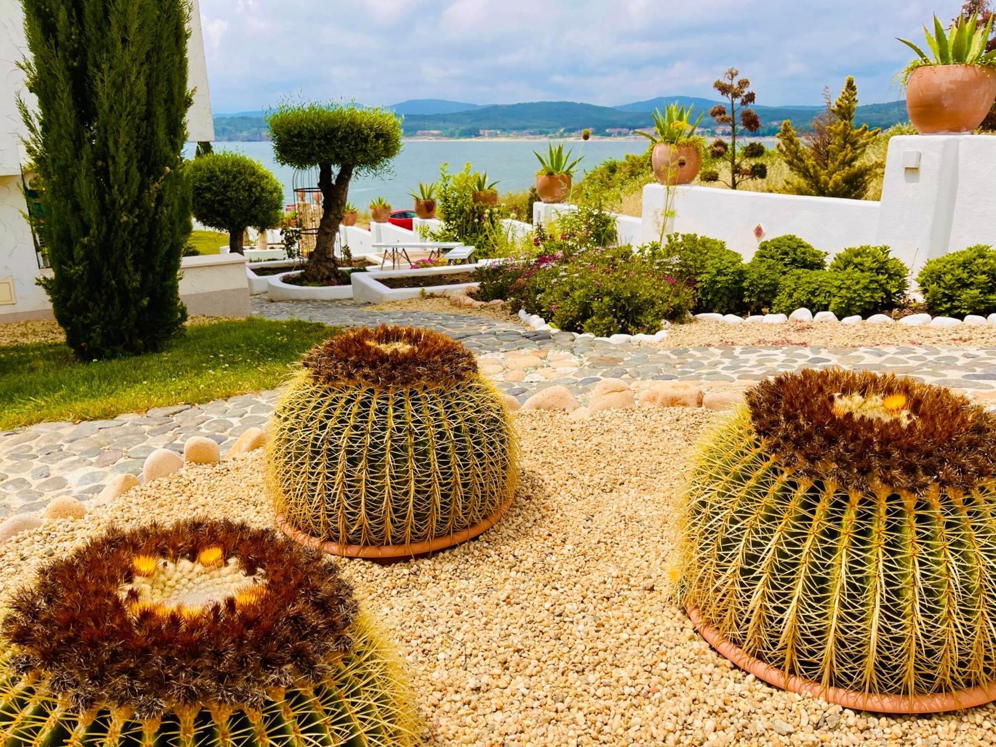 Aparthotel Casa De Oro Alma Sozopol Zewnętrze zdjęcie