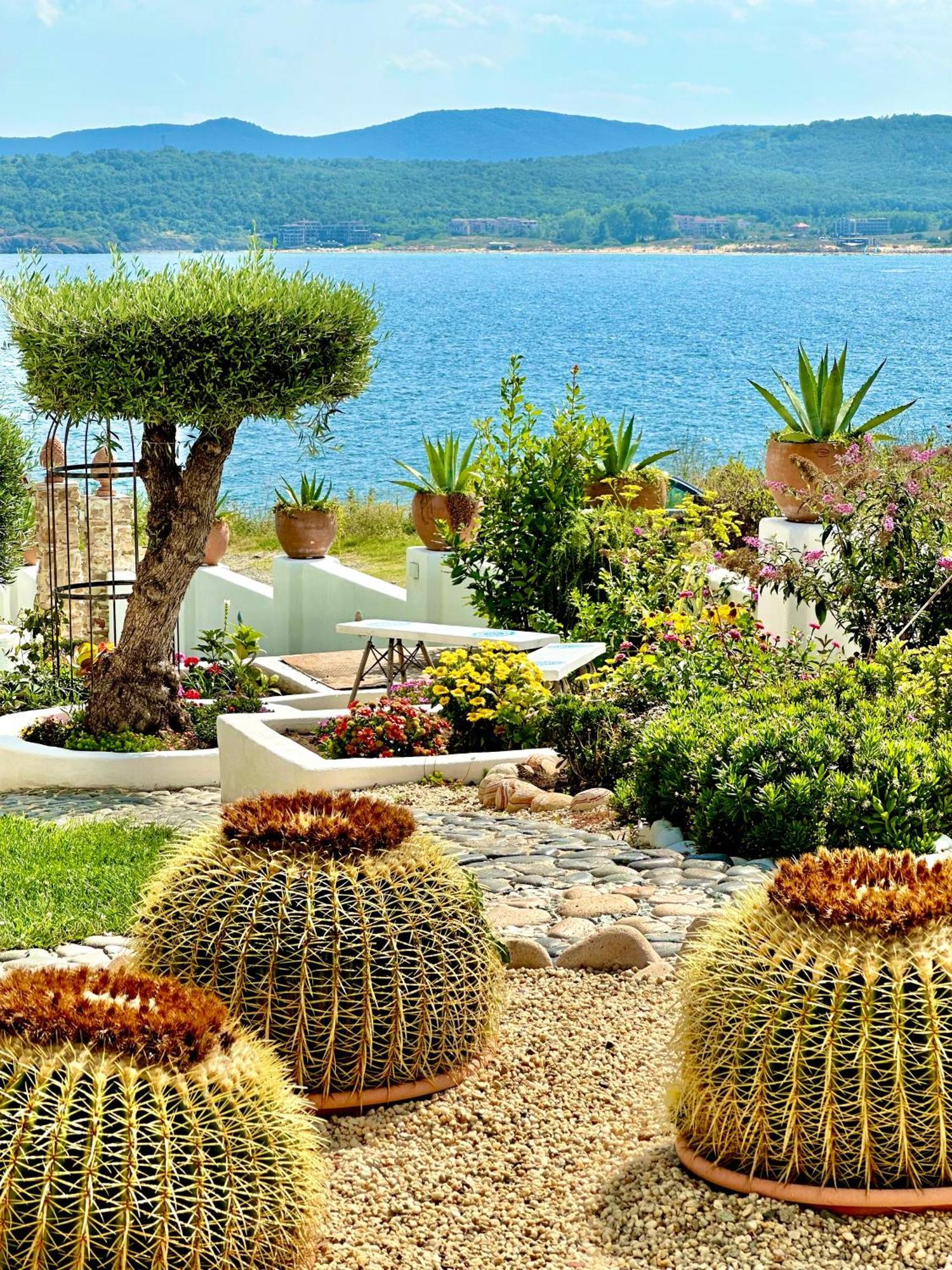 Aparthotel Casa De Oro Alma Sozopol Zewnętrze zdjęcie
